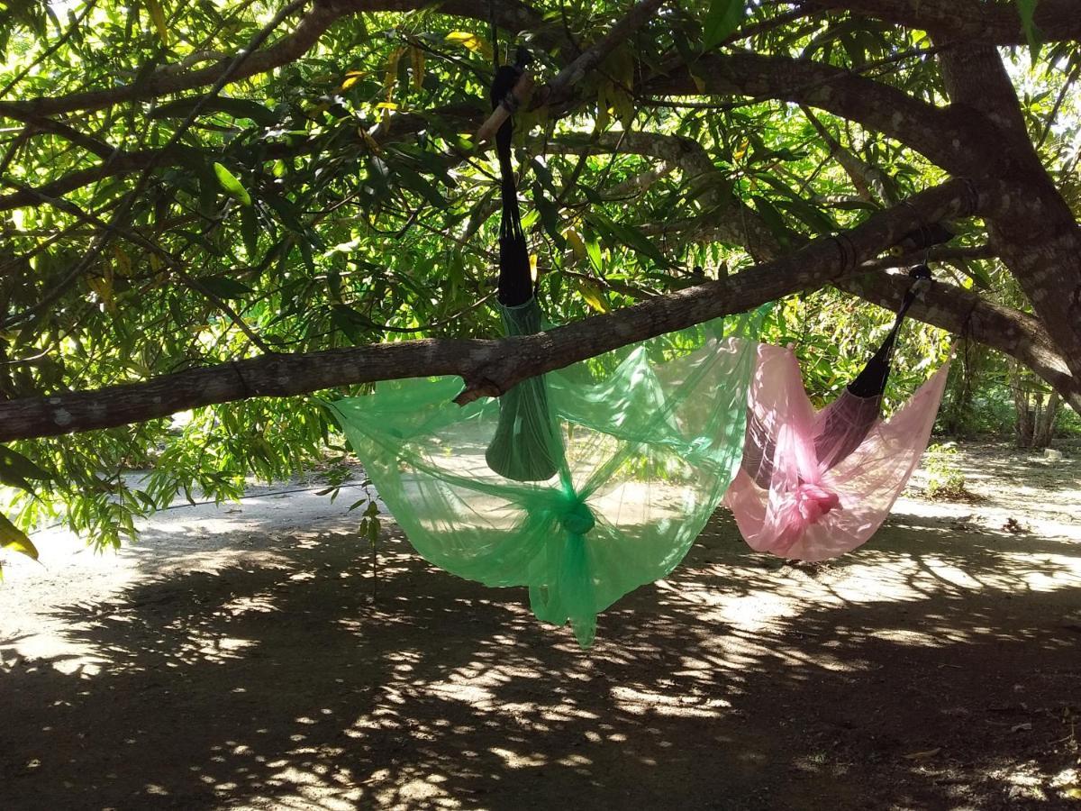 San Onofre Eco-Camping Mango Feliz Rincon Del Mar מראה חיצוני תמונה