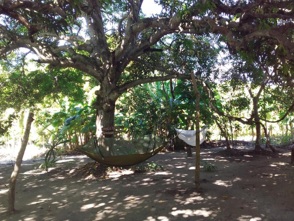 San Onofre Eco-Camping Mango Feliz Rincon Del Mar מראה חיצוני תמונה