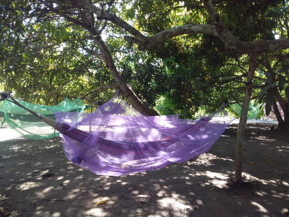 San Onofre Eco-Camping Mango Feliz Rincon Del Mar מראה חיצוני תמונה
