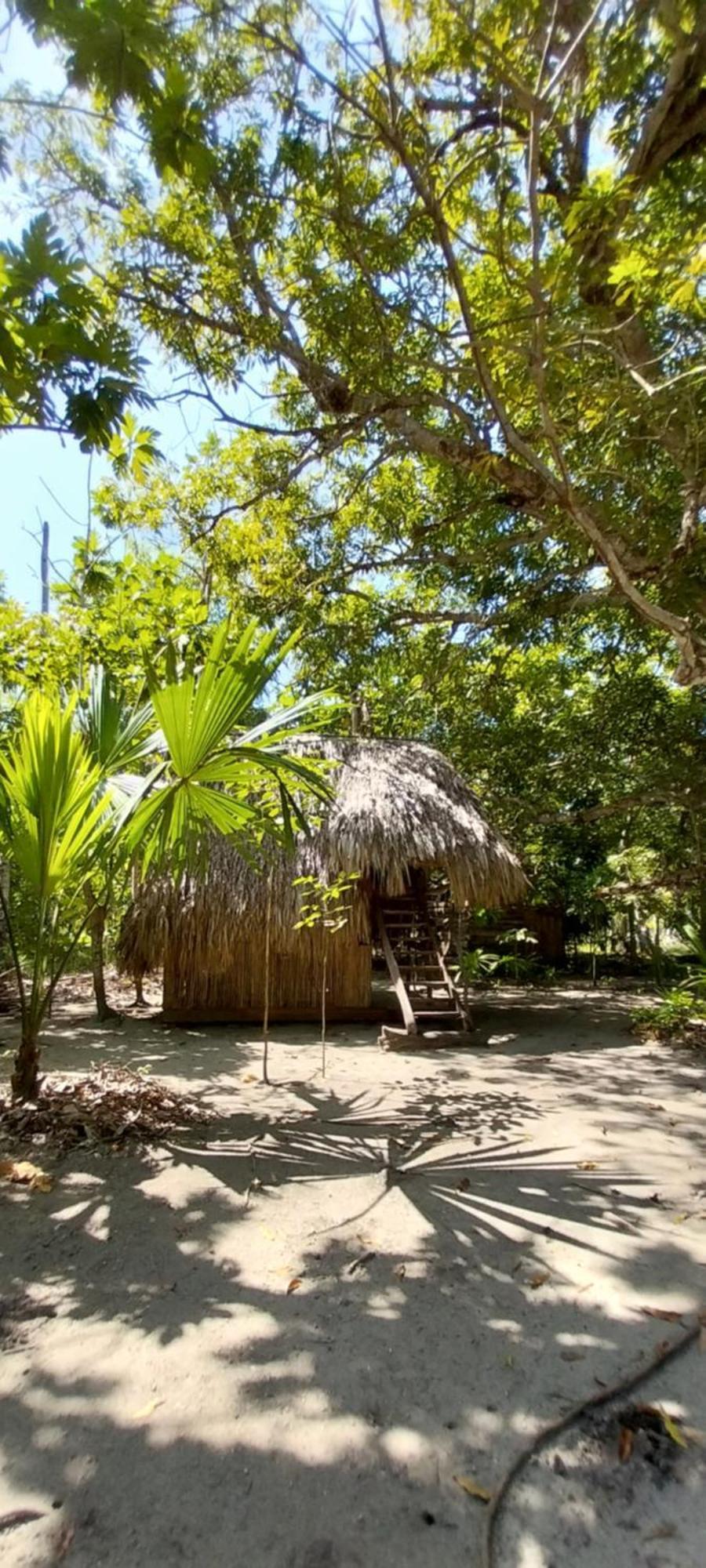 San Onofre Eco-Camping Mango Feliz Rincon Del Mar מראה חיצוני תמונה