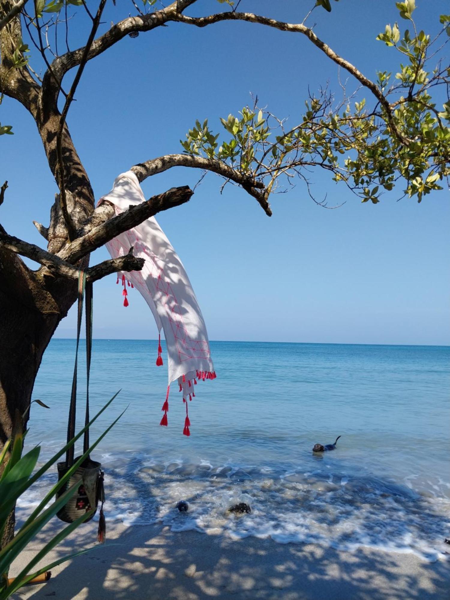 San Onofre Eco-Camping Mango Feliz Rincon Del Mar מראה חיצוני תמונה