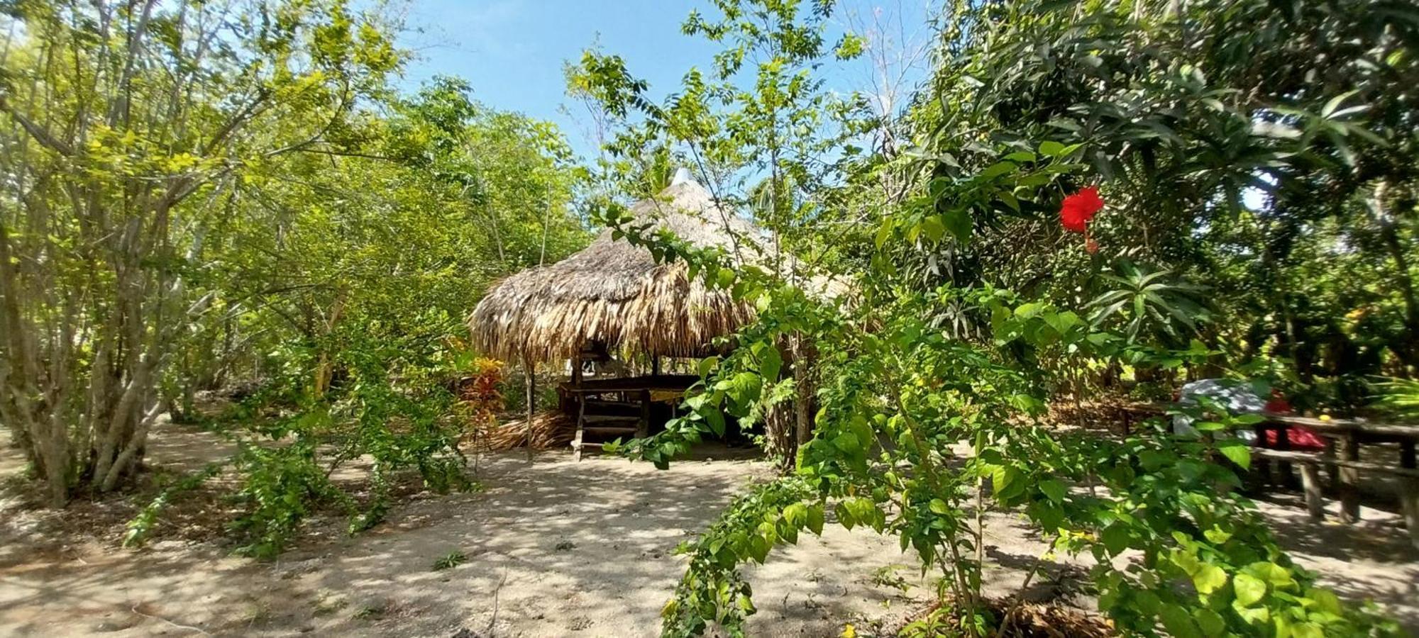 San Onofre Eco-Camping Mango Feliz Rincon Del Mar מראה חיצוני תמונה