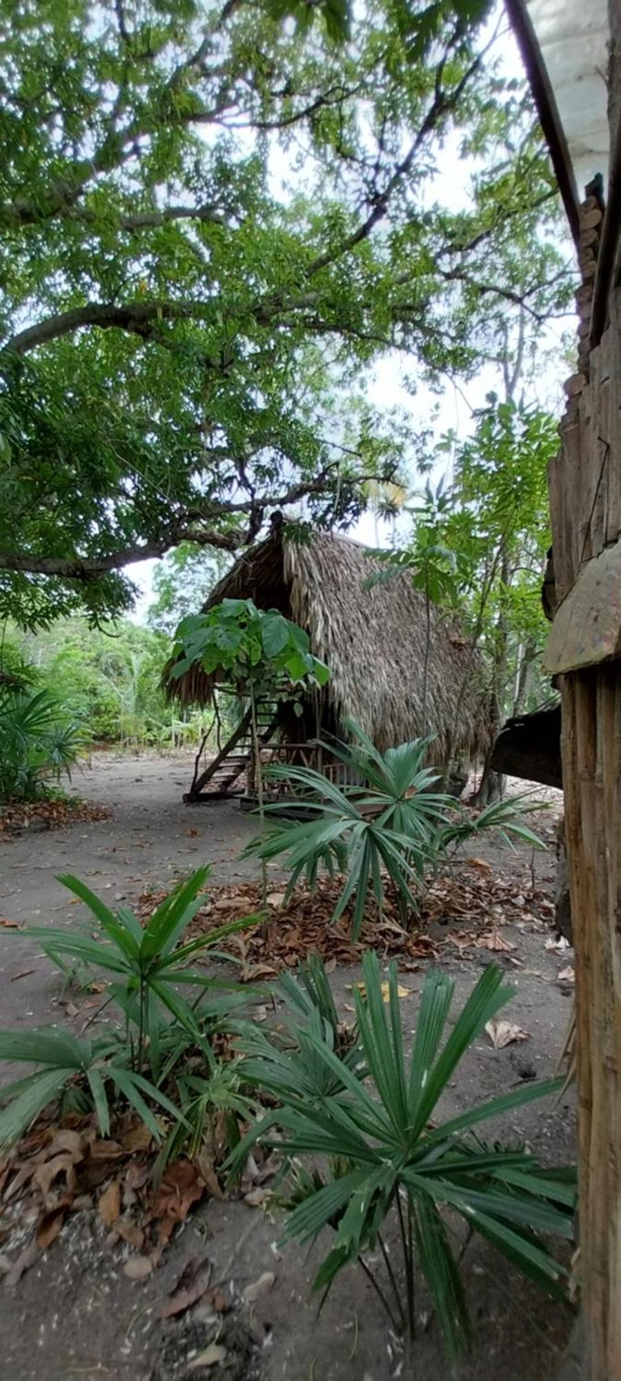 San Onofre Eco-Camping Mango Feliz Rincon Del Mar מראה חיצוני תמונה