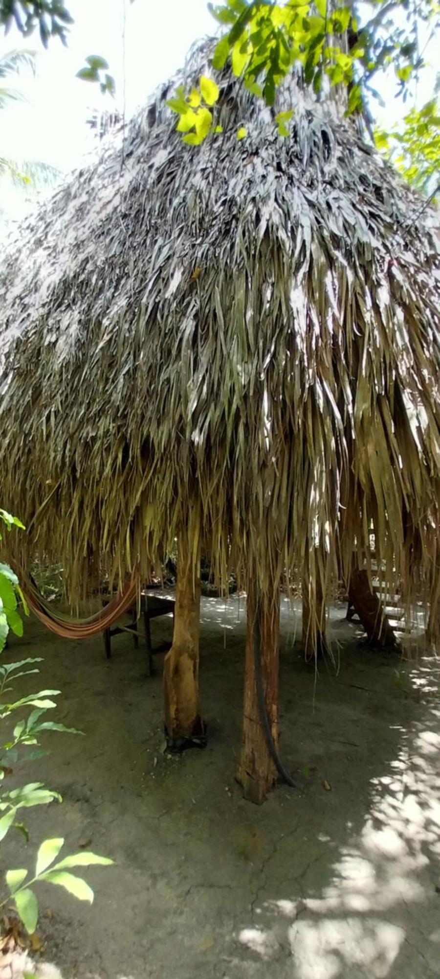 San Onofre Eco-Camping Mango Feliz Rincon Del Mar מראה חיצוני תמונה